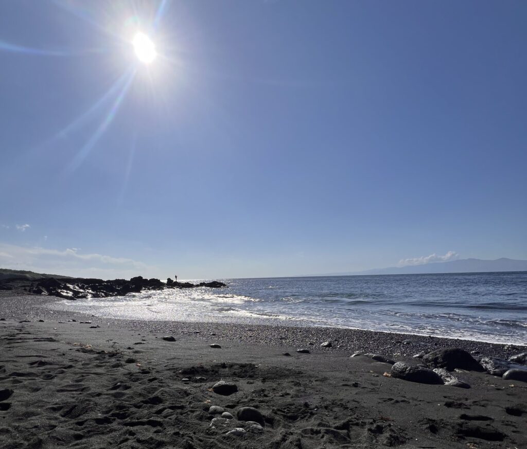 【3ヶ月以内に申請必須】伊豆大島で相続放棄する際のポイントと手続き方法